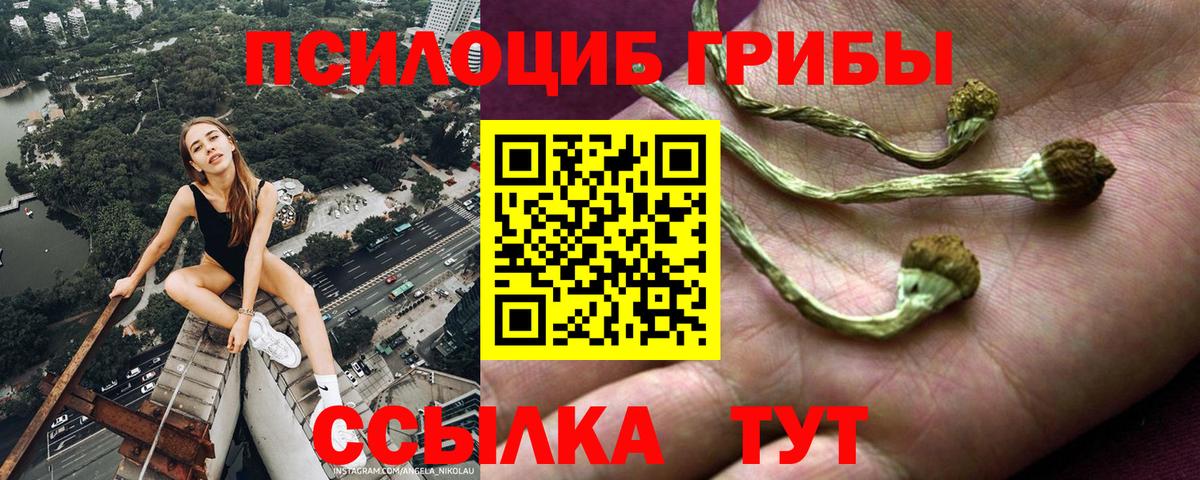 цены наркотик  Галлюциногенные грибы Psilocybe  Вход с VPN  Электрогорск 