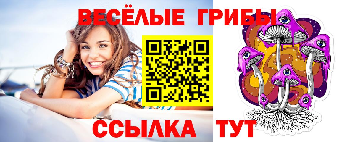 Псилоцибиновые грибы Psilocybine cubensis Электрогорск